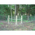 Galvanized Prevent Wire Farm Field Fence